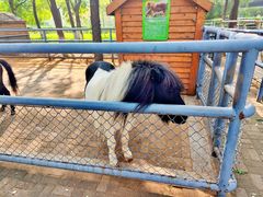 -长白岛森林公园