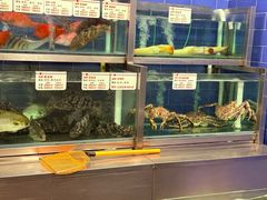 -凤凰楼酒家·粤宴点心(华强北店)
