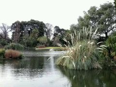 android_upload_pic-墨尔本皇家植物园