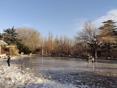 -国家植物园南园