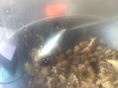 -潭州老友灶台鸡·竹屋老灶(光明E城店)