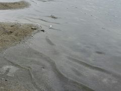 -美兰湖景区