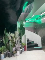 -LESSMORE科技头皮理容中心