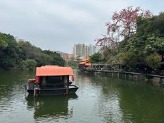 -荔湾湖公园