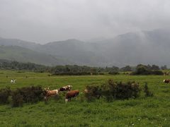 -灵山