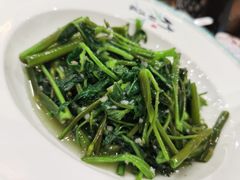 -大金山酒店