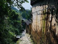 -杨家堂村