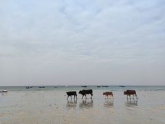 -石螺口海滩