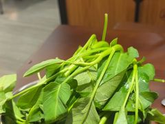 -小螺大作·螺蛳粉火锅(林和西店)