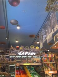 -卡通尼·Safari非洲探索乐园·生日会(金桥国际商业广场店)