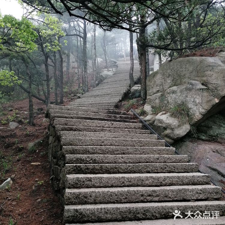 人间四月芳菲尽 花台杜鹃始盛开