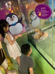 点击看大图 -七巧国萌宠乐园(龙湖天街店)