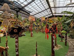 -呀路古热带植物园