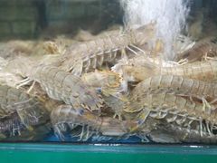 -富港会·海鲜酒楼(墟沟店)