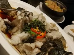 青花椒蒸龙胆鱼-闽和南(深圳万象城店)