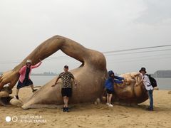 -金沙湖旅游度假区