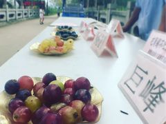 -马陆小张葡萄园农家乐