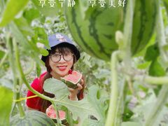 -西瓜小镇