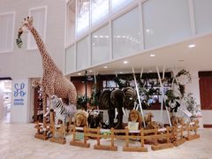 -阪急百货店(梅田总店)