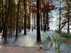 -东湖落雁景区