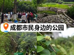 -成都市活水公园