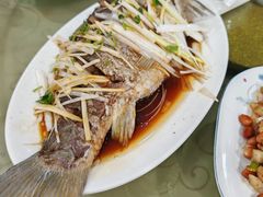 -微山岛春天里酒家