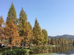 -浙江农林大学(东湖校区)