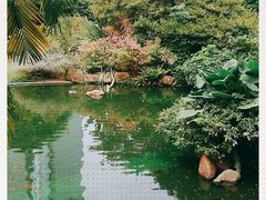 -九龙公园