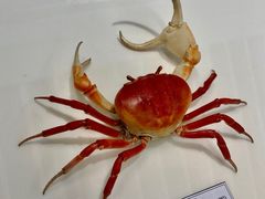 -中国湿地博物馆