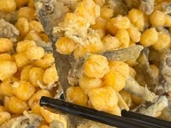 -胖大姐黄辣丁鱼庄(新津店)