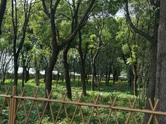 -马陆小张葡萄园农家乐