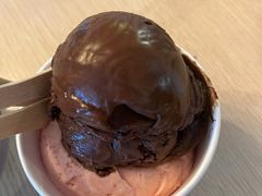 -Dooley's Premium Ice Cream