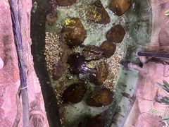 -正佳雨林生态植物园