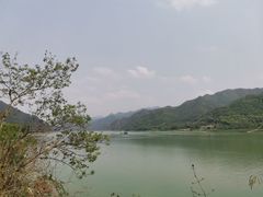 -羚羊峡古栈道森林公园