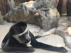 -泉州海丝野生动物世界