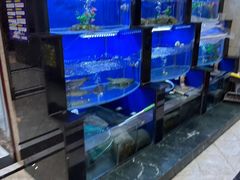 -朱桥甲鱼馆(淮海西路店)