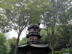 -上海佘山国家森林公园西佘山园