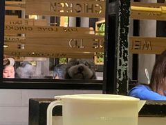 -狐狸爱上椰子鸡(滨江星光大道店)