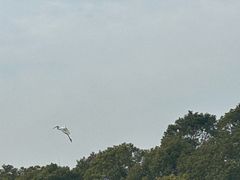 -春花秋色城市公园