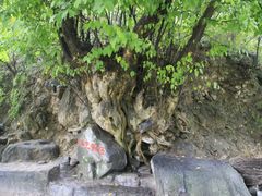 -孤山寨风景区