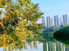 -重庆彩云湖湿地公园