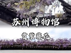 -金鸡湖桃花岛
