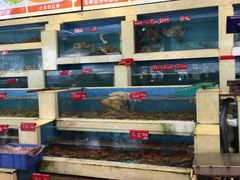 -旺富东海大酒楼(海鲜街店)