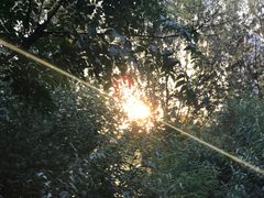 -东京包子楼(政七街店)