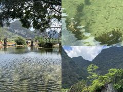 -靖西鹅泉风景区