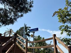 -沂蒙山旅游区云蒙景区(蒙山国家森林公园)