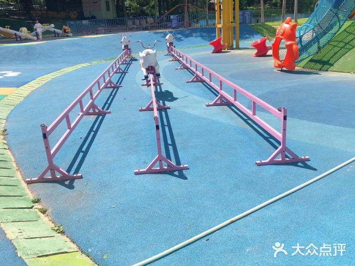 松山湖南湖湾露营营地图片