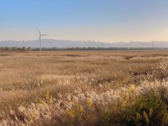 -野鸭湖国家湿地公园