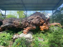 -腾冲艺缘艺术品有限公司