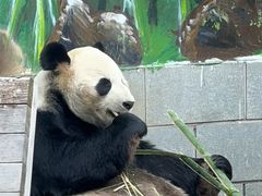 -南昌动物园